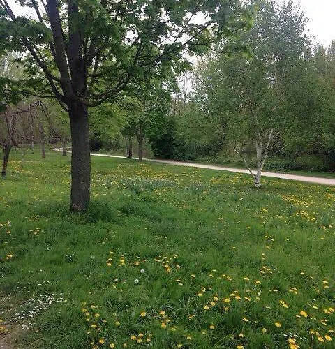 Daire Schirmeck Strazburg